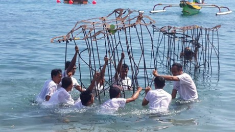 Tiga Lokasi Bawah Laut Akan Dipasangi Instalasi Terumbu Karang Teguh Ostenrik