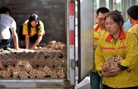Seperti dikabarkan Liaoshen Evening News dan Worldcarfans, Jumat (5/6/2015) pria yang namanya hanya disebutkan Gan itu adalah seorang karyawan sebuah stasiun pompa bensin umum (SPBU) di kota Shenyang. Gan membeli sebuah mobil seharga 680.000 yuan atau sekitar Rp 1,44 miliar. Pool/dok CCTV.