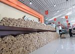 4 Ton Uang Koin untuk Beli Mobil