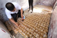Selain untuk memindahkan uang koin dari truk yang mengangkutnya, mereka juga harus menghitung uang itu, dan mengikatnya dengan isolasi dan kertas. Mereka membutuhkan waktu  lebih dari satu jam untuk memindahkan uang koin tersebut. Pool/dok CCTV.