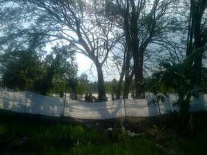 Peri Roro Setyowati Melahirkan, Ratusan Warga Datangi Hutan Ngawi
