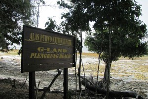Alas Purwo, Hutan Mistis & Pantai Cantik Banyuwangi