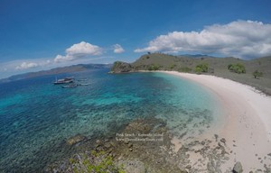 Gaharnya Si Naga Purba & Cantiknya Pantai di Pulau Komodo