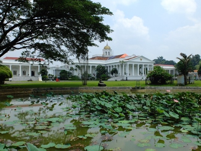 Tak Cuma di Bogor, Ini 4 Kebun Raya di Indonesia