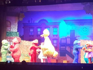 Kelucuan Elmo Cs Menyanyi di Sesame Street Live Elmo Makes Music
