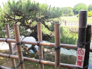 Jepang Disebut Neraka Para Perokok, Mengapa?