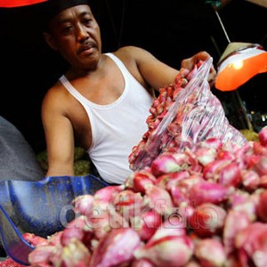 Harga Bawang Merah di Petani Rp 16.000/Kg, di Pasar Jadi Rp 34.000/Kg