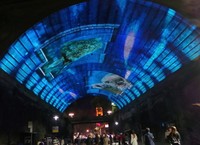 Instalasi yang dipasang di kolong jembatan. Karena jalan sudah ditutup, jadi pengunjung bisa leluasa menonton film tentang alam di kolong jembatan ini (Shafa/detikTravel)
