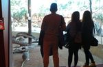 Inilah Aneka Hewan Khas Australia di WILD LIFE Sydney