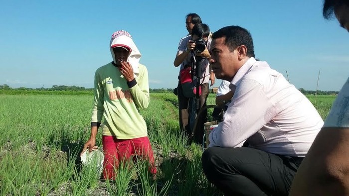 Mentan Nongkrong Bareng Petani di Kebun Bawang