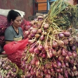 Bulog Ingin Ikut Main Bawang, Ini Strateginya