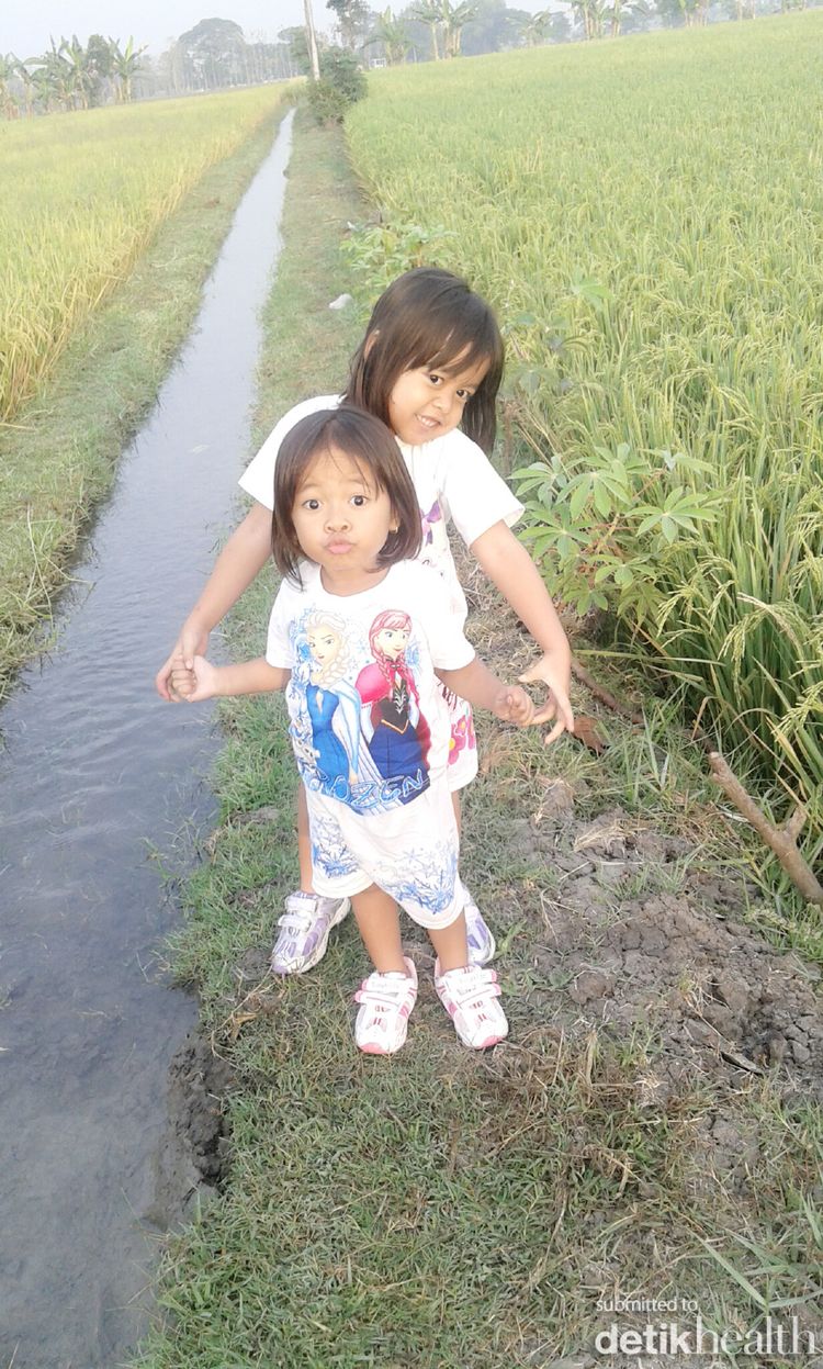 Elfiryal Aya Shofiya