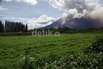 Gunung Sinabung Masih Awas