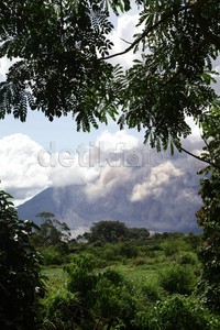 Pada Sabtu (13/6/2015), Gunung Sinabung meluncurkan awan panas sebanyak 11 kali.