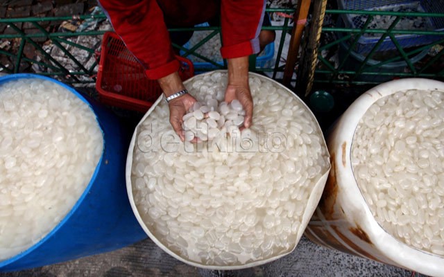 Mau Beli Kolang Kaling? Perhatikan Hal Ini Saat Memilihnya