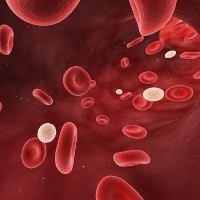 Puluhan Warga Aceh Punya Darah Rhesus Negatif, Kerap Sulit Cari Donor