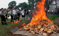 Untuk ganja dimusnahkan dengan cara dibakar. Lamhot Aritonang/detikFoto.