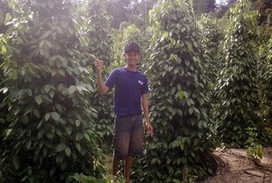 Kisah Anak Petani Lada yang Rajin Promosi Wisata Bangka