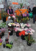 Eveleigh Market, Pasar Anak Muda di Sydney