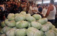 Sambil blusukan, Setya yang ditemani beberapa anggota DPR ini sempat memborong beberapa produk pangan dan buah-buahan, mulai dari bawang merah, kol, kentang, blewah, hingga melon. Lamhot Aritonang/detikFoto.