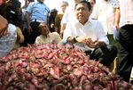 Ketua DPR Borong Bawang Merah di Pasar Induk