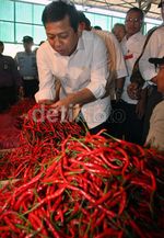 Ketua DPR Borong Bawang Merah di Pasar Induk