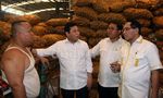 Ketua DPR Borong Bawang Merah di Pasar Induk