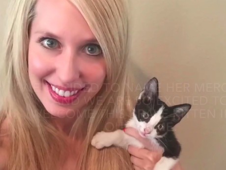 Wanita Cantik Temukan Kucing yang Terjebak di Mesin Mobil Selama 2 Hari