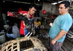 Jelang Ramadan, Harga Ayam Merangkak Naik