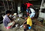 Jelang Ramadan, Harga Ayam Merangkak Naik