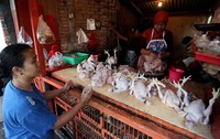 Warga membeli ayam potong.