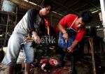 Jelang Ramadan, Harga Ayam Merangkak Naik