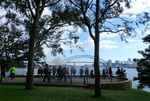 Mrs Macquaries Point, Tempat Pas Memotret Sydney Opera House