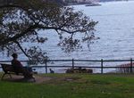 Mrs Macquaries Point, Tempat Pas Memotret Sydney Opera House