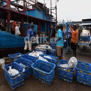 PNBP Kapal Tangkap Ikan Rp 8.000/Tahun, Menteri Susi: Itu Ngerampok Negara