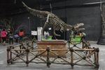 Ketika T-Rex Mengaum di Jungleland