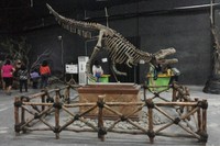 Kerangka dinosaurus juga bisa ditemukan di sini. Kerangka ini misalnya, diletakkan tak jauh dari pintu masuk wahana (Kurnia/detikTravel)