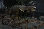 Ketika T-Rex Mengaum di Jungleland