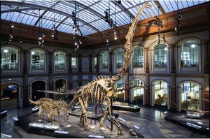 Suka Jurassic World? Ini 8 Museum Dinosaurus Keren di Dunia (1)