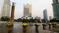 Pot-pot itu didominasi tanaman berwarna kuning dan merah.
