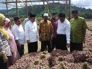 Mentan Berburu Bawang Merah di Bima, Borong 2 Ton Cuma Rp 6.000/Kg