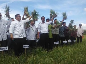 Panen Bawang Merah di Bima, Mentan: Harga Rp 8.000 Tak Perlu Impar-impor