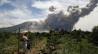 Seorang petani melihat abu vulkanik gunung Sinabung yang tertiup angin. REUTERS/Beawiharta.