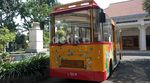 Yuk Keliling Surabaya Naik Bus Antik