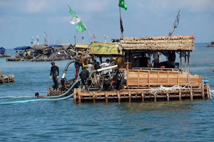 Penambang Timah Ilegal di Babel Bisa Dapat Rp 1 Juta/Hari