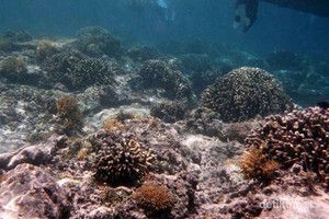 Hai Anak Muda, Ini 8 Tempat Snorkeling Paling Oke di Indonesia (2)