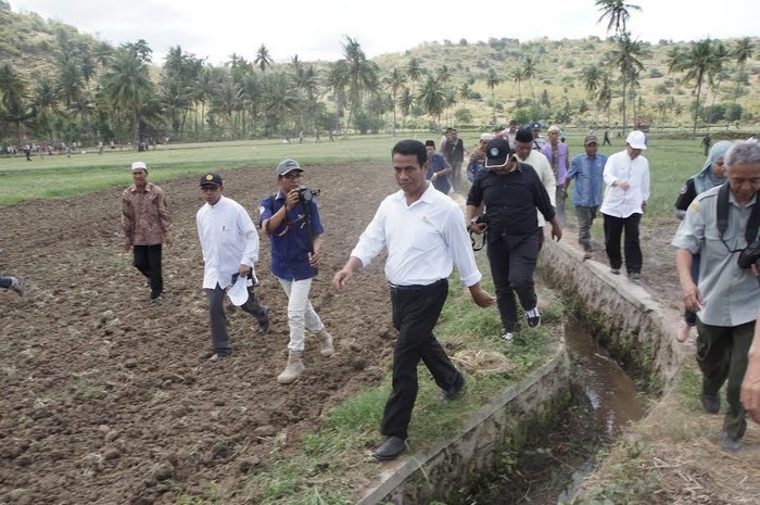 Tenangkan Petani, Mentan Langsung Telepon Dirut PLN