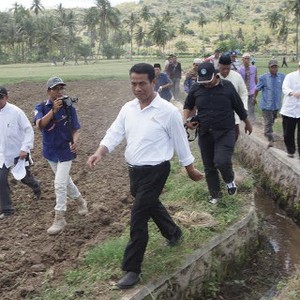Tenangkan Petani, Mentan Langsung Telepon Dirut PLN