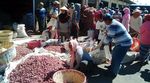 Mentan Sidak Pasar Bawang di Probolinggo