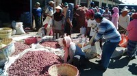 Kehadiran Mentan langsung disambut petani dan pedagang di pasar bawang. Mereka mengeluhkan harga bawang sampai saat ini tidak stabil, dan mengeluhkan harga pupuk dan obat-obatan untuk perawatan bawangnya. M Rofiq/detikFoto.